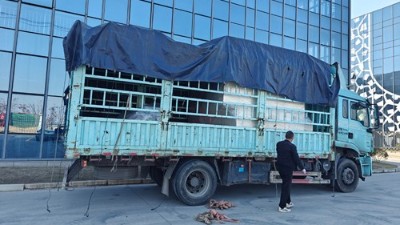 自動噴膠機再添新交（jiāo）付，助力大連汽（qì）車橡膠減震客戶升級